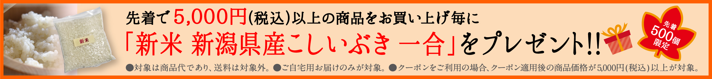 プレゼントキャンペーン